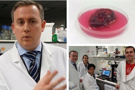 a group of doctors and a 3d printer living tissue