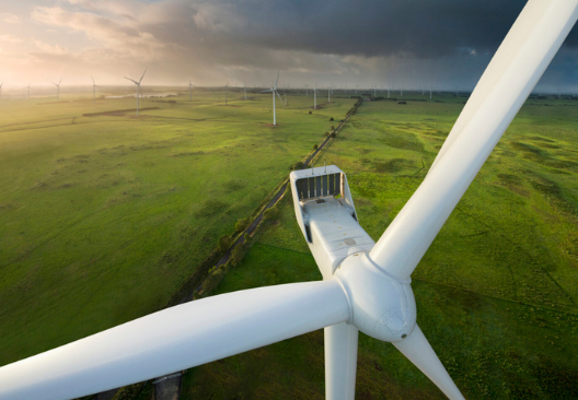 Photograph of a field of wind turbines