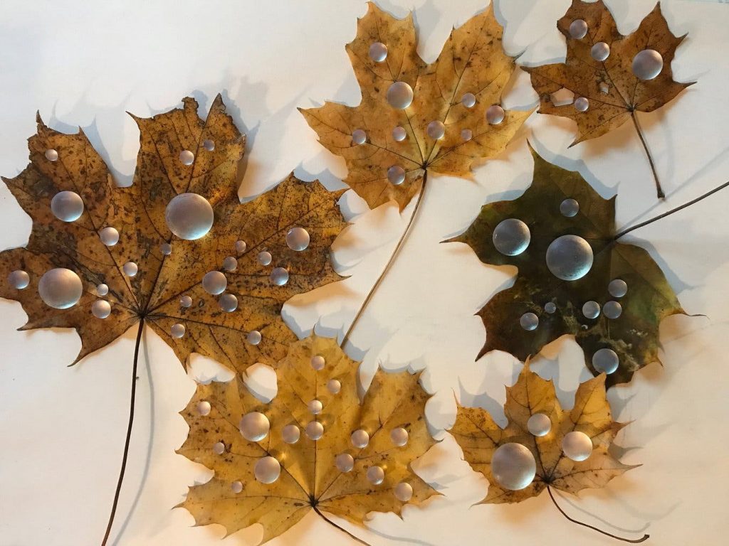 3d printed leaves (artistic)