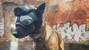 Police dog with 3D printed mount for a head-camera