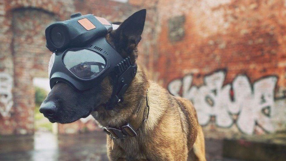 Police dog with 3D printed mount for a head-camera