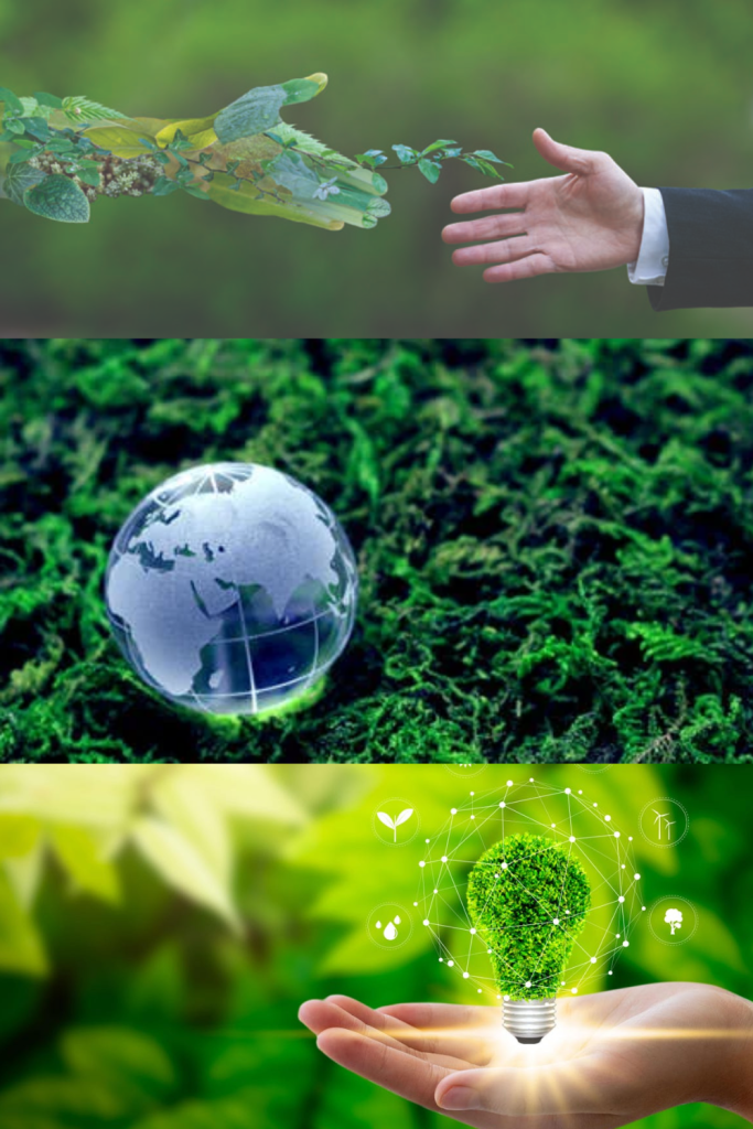 A light bulb composed of greenery; a globe nestled amongst bushes; and an arm composed of leaves reaching out to shake a man's hand.