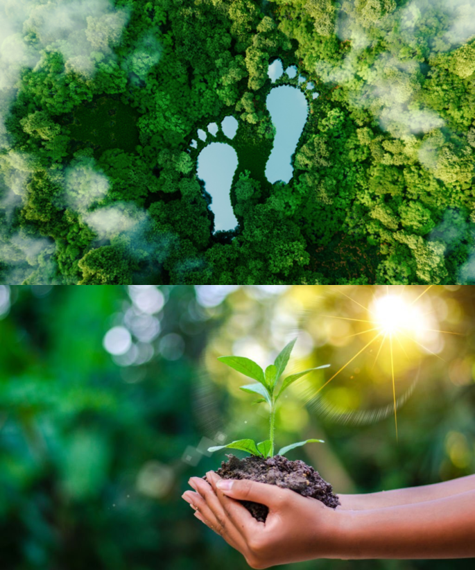 Two large footprints in a field of trees. And a picture of a woman holding soil with a plant growing.
